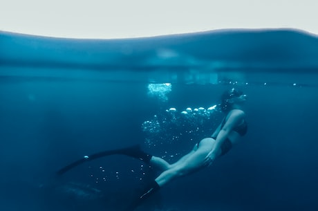 惊人！中国潜水员发现鲨鱼鲨鱼巨大种群